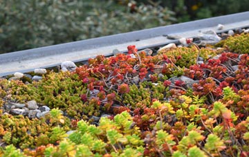 the cost of Nether Winchendon Or Lower Winchendon green roof installation